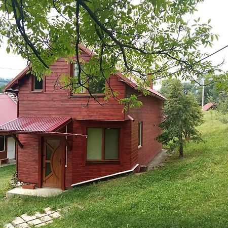 Котедж "Барвінок" Verhovîna Exterior foto