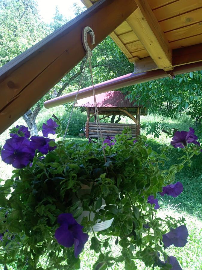 Котедж "Барвінок" Verhovîna Exterior foto