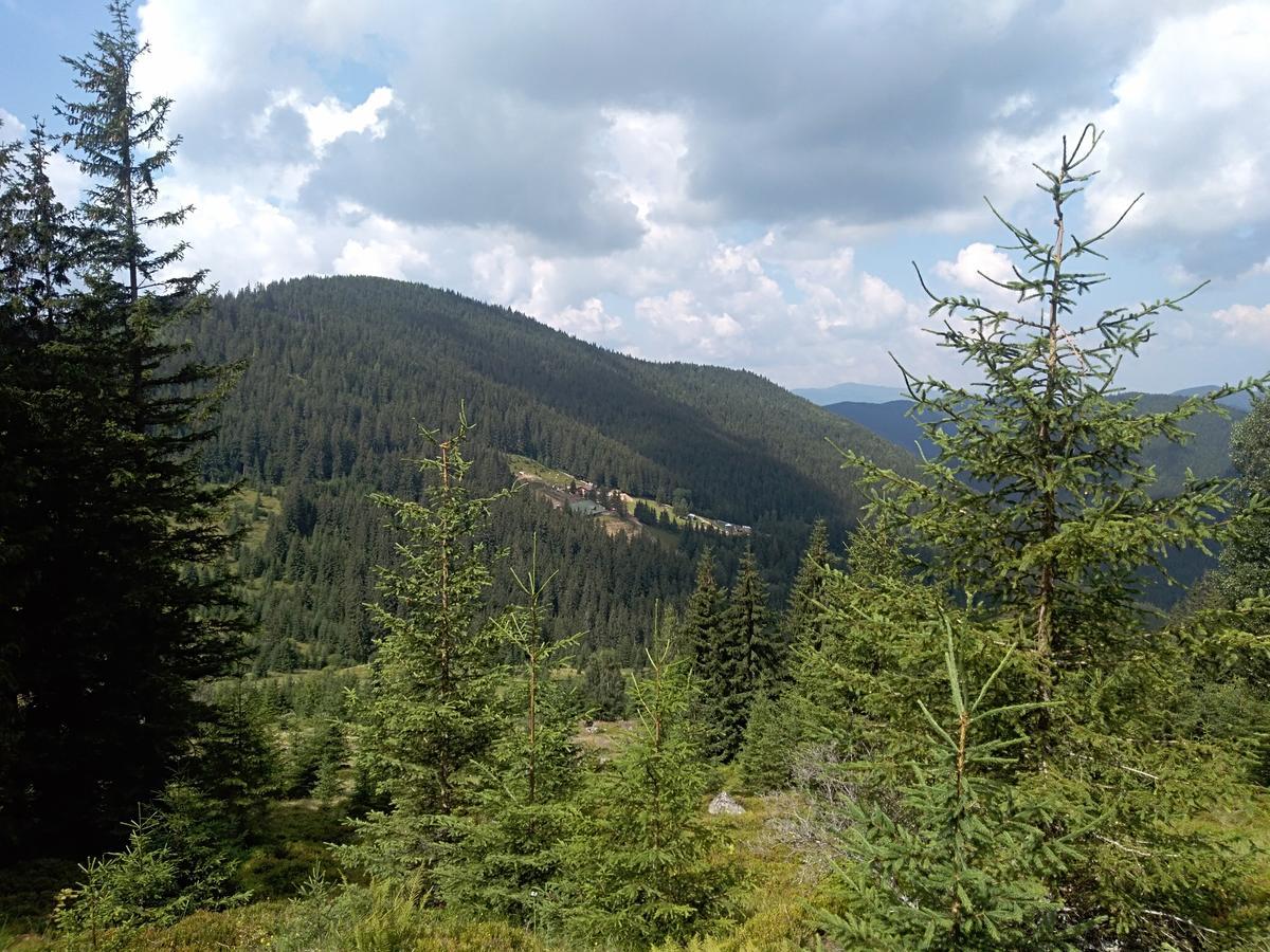 Котедж "Барвінок" Verhovîna Exterior foto