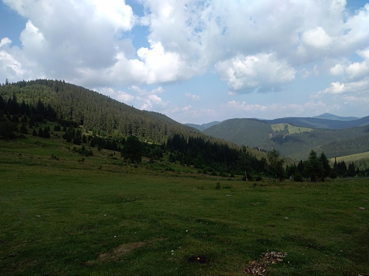 Котедж "Барвінок" Verhovîna Exterior foto