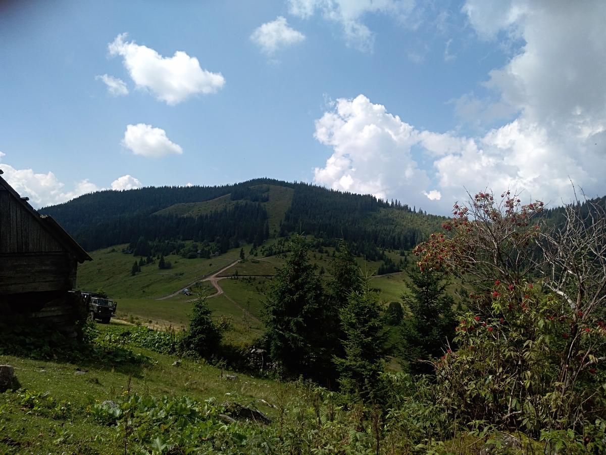 Котедж "Барвінок" Verhovîna Exterior foto
